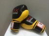 Twins Model Boxing Gloves