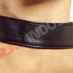 Leather Neck Collar